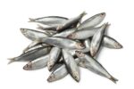Sprats